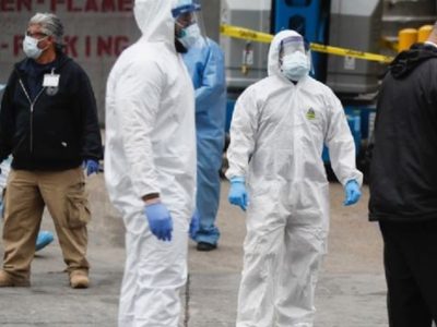 Estas son las medidas para evitar el contagio de la gripe aviar H5N1