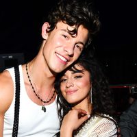 ¡DIOS, SEÑORITA! Camila Cabello sube video con Shawn Mendes y van más allá... ¡Mirá!
