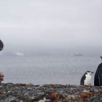La Antártida se derrite y los actores Bardem pelean para que sea una reserva