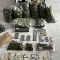 Encontraron 24 kilos de cogollos de marihuana en una vivienda de Aluminé