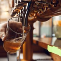 Cuáles son las mejores cervecerías de Neuquén y Río Negro