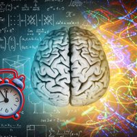 Cómo cambia el cerebro humano desde la infancia hasta la vejez, según la UNAM
