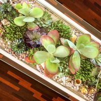 Nuevos jardines para hacer en casa: las blooming tables