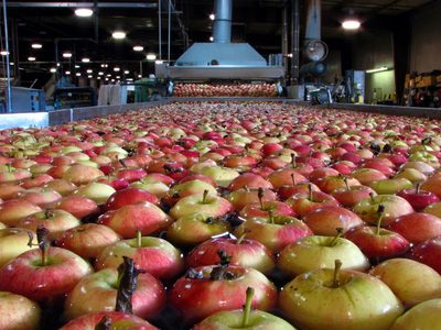 Cómo afecta la invasión de Rusia a Ucrania al comercio frutícola de la región