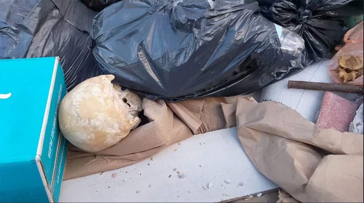 Fue a tirar la basura y se encontró un cráneo