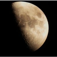 Si sos uno de estos 3 signos del Horóscopo Chino, se te vienen días de abundancia gracias a la Luna creciente en Libra