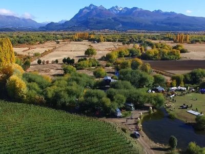 Vinos de Chubut: nuevas vides y proyectos para el verano