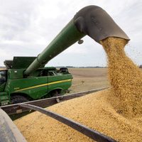 El Gobierno confirmó la suba de las retenciones a la soja