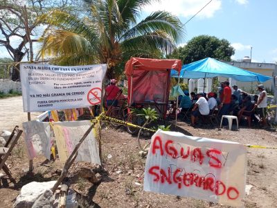 Tras cierre de megagranja porcícola, comunidad enfrenta el reto de sanear Santa María Chi
