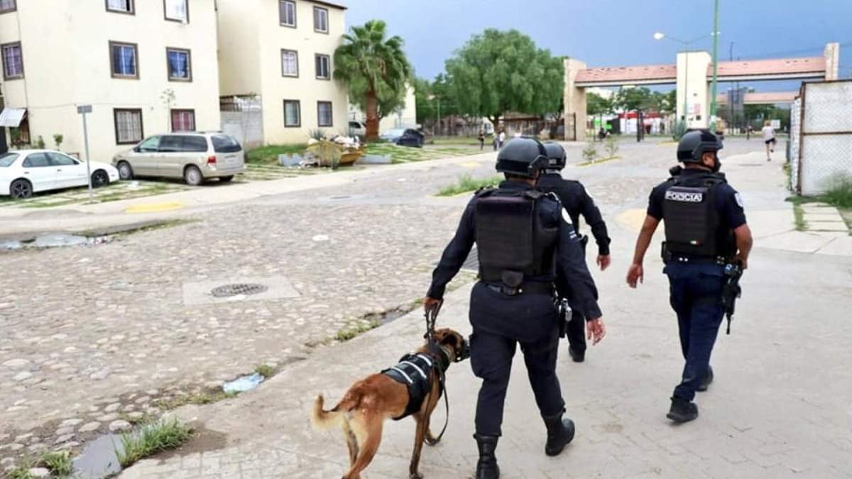 Policías de León, Guanajuato
