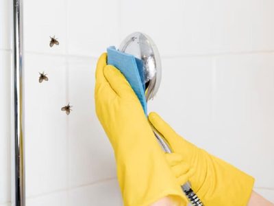Mosquitos: cómo mantenerlos alejados del baño donde es muy común que se concentren