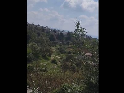 Hombres armados irrumpen en un “picadero” en Canoa, Puebla, y matan a seis personas (Video)