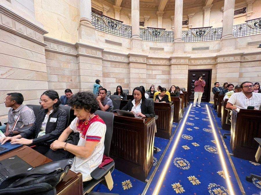 Congreso de Colombia. Queja contra bonos de carbono