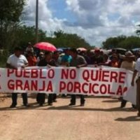 Protestan contra instalación de granja porcícola en Homún, Yucatán