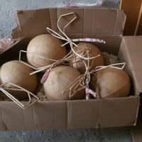 La FGR incauta sustancias, explosivos y armas en Puebla