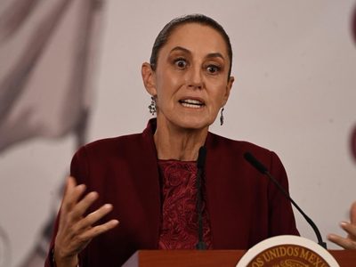 Sheinbaum acudirá al TEPJF para que organización civil no utilice las siglas de su nombre