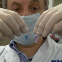 Y-TEC producirá junto a NEOKIT un millón de test rápidos para COVID-19 por mes