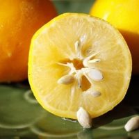 Guardá las semillas de limón en el congelador y obtené la mejor receta para tus desayunos o meriendas