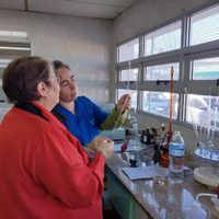 La ANMAT prohibió productos médicos por presunto desvío de calidad