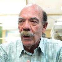 Sustancia presente en envases de plástico incrementa riesgo de diabetes y cáncer: estudio