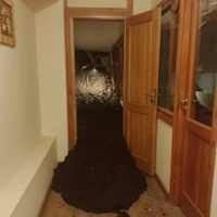 Hallaron los cuerpos de la pareja uruguaya, durante la madrugada de hoy