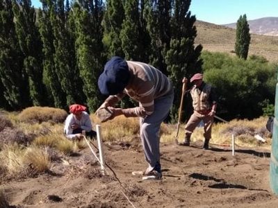 Desarrollo Rural: 246 familias beneficiadas en el interior neuquino