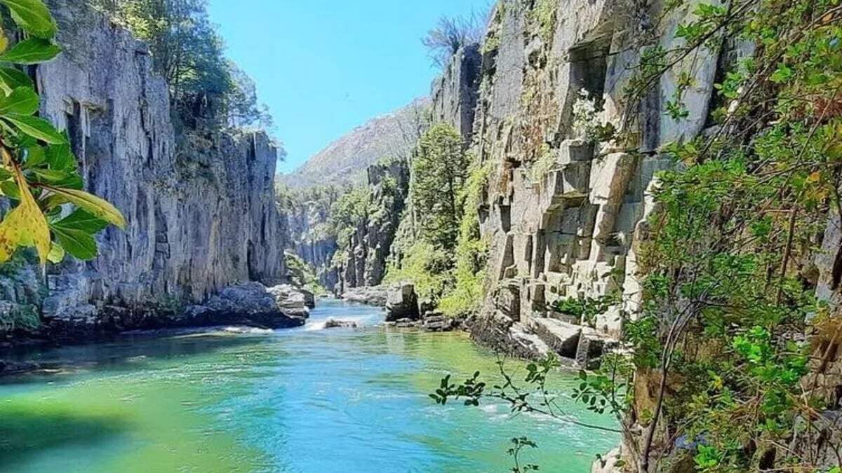 Patagonia. Fuente:(X).