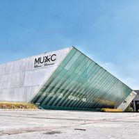 Informe sobre museos: la pandemia paralizó a la cultura