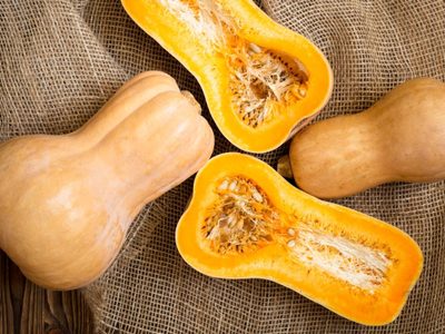 No tires las semillas de calabaza y preparalas de esta forma para usarlas como antiparasitario para tu perro