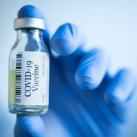 Coronavirus: la vacuna que se producirá en Argentina está basada en un adenovirus de chimpancé