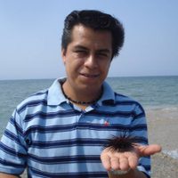 ONU-DH pide a México investigar desaparición forzada a manos de policías en Veracruz