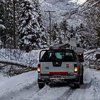 Nieva en Neuquén: enterate en dónde y mirá las imágenes