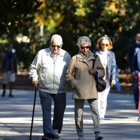 El Gobierno oficializó el valor de las jubilaciones para febrero
