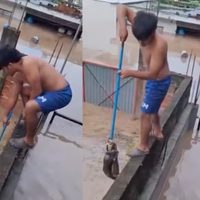 Niño salva a un gato de las inundaciones en Poza Rica, Veracruz (Video)