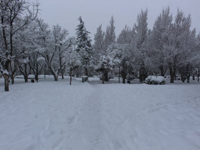 Continúa nevando en Zapala y comienzan a surgir los inconvenientes
