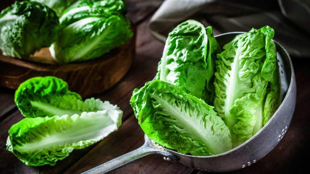 Sándwich de lechuga. Fuente:(X)