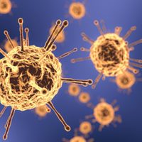 Neuquén: se totalizaron 34 casos de coronavirus y 15 pacientes recuperados