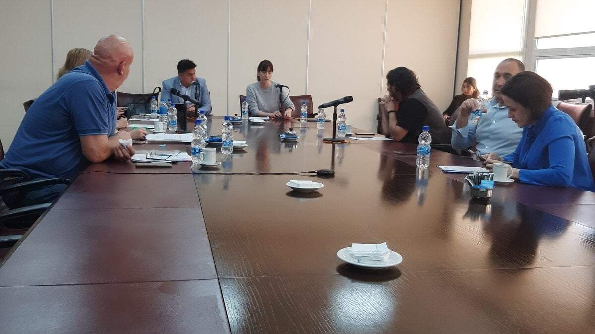 Debate en la comisión de Desarrollo Humano y Social. Fuente: (Twitter).