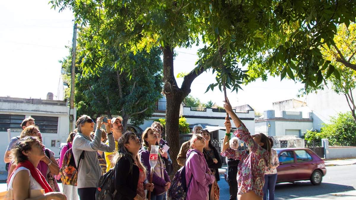 Circuito urbano para conocer los frutales. Fuente: (Instagram)