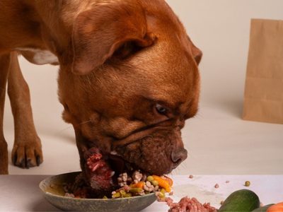No tires las semillas de calabaza: podés aprovecharlas para tu perro y ahorrarte una fortuna en el veterinario