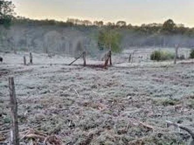 A preparar los abrigos porque se viene una ola polar intensa
