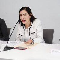 Diputada panista se asume como la 'voz de Querétaro” y ONG la cuestionan