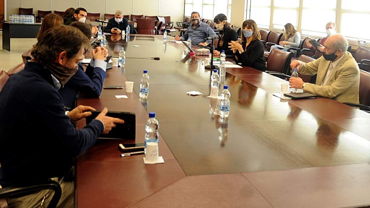 La comisión de Hidrocarburos, Energía y Comunicaciones recibió en forma remota a Máximo Cisneros.