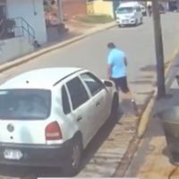 Sujeto lanza un perrito a un cazo con aceite hirviendo en Tecámac; el lomito murió (Video)