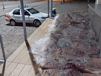 Insólito: detuvieron en Río Negro a una neuquina que traficaba 65 costillares