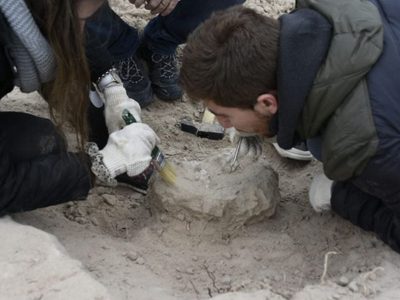 Nuevo hallazgo paleontológico en Río Negro