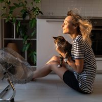 Con solo 4 ingredientes, limpiá tu ventilador y dejalo como recién comprado