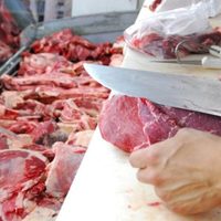 Locura en Neuquén para poder adquirir cortes de carne más económicos