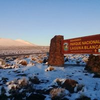 Laguna Blanca: dato clave para orientar la búsqueda del poblador desaparecido