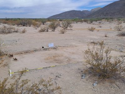 Identifican restos de 169 personas en Coahuila; sólo 25 fueron encontrados en fosas clandestinas